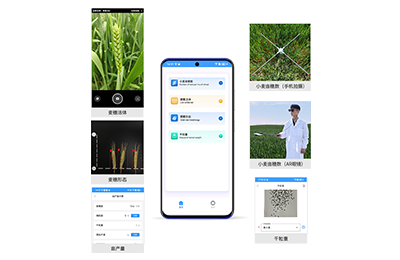 舟山市小麦亩穗数分析仪IN-XM02