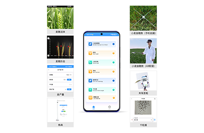 舟山市小麦表型测量仪IN-XM05
